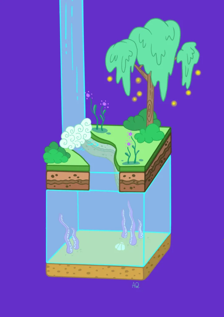 Seta_land2